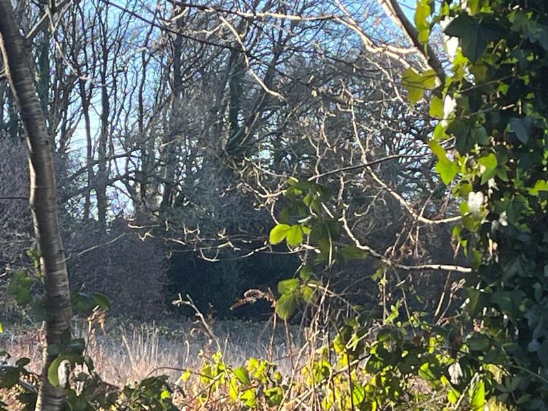 Terrain constructible - 6 028 m²