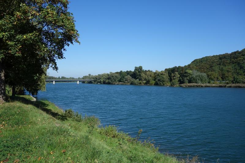 Balade découverte de l'ile de Marckolsheim