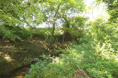 Terrain de loisirs - 2 215 m²