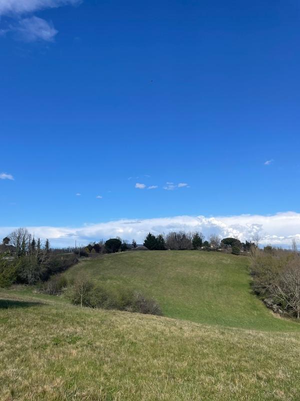 Terrain - 36 155 m²