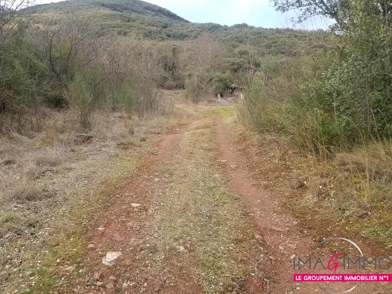 Terrain - 16 125 m²