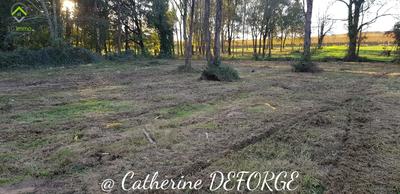 Terrain constructible - 1 248 m²