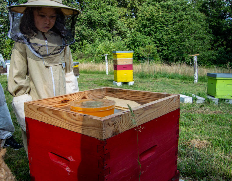 Visite du Rucher d'Artémis