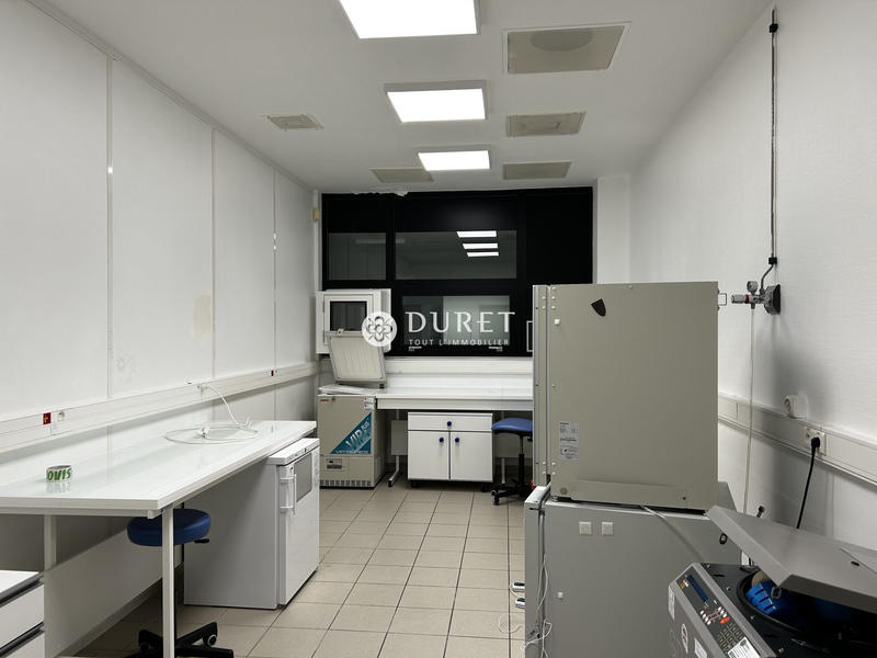 Local d'activités - 1 224 m²