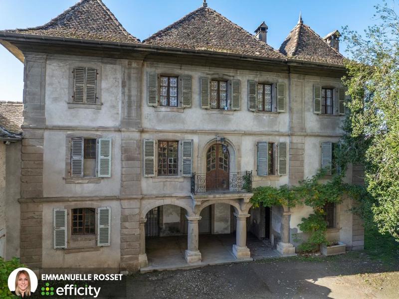 Château - 1 131 m² - 22 pièces