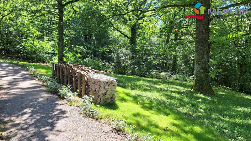 Appartement - 30 m² - 1 pièce