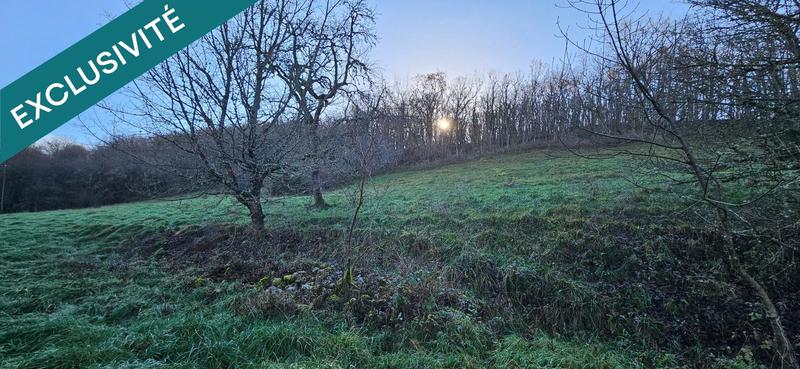 Terrain - 22 616 m²