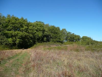 Terrain constructible - 5 345 m²