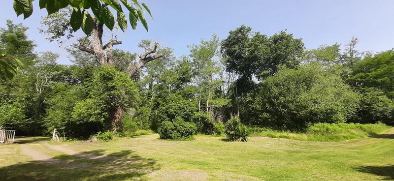 Maison - 300 m² - 7 pièces