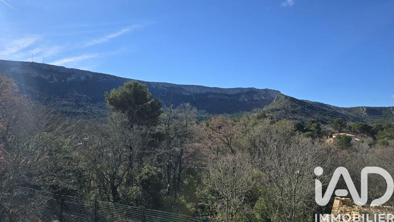 Maison de maîtres - 210 m² - 5 pièces