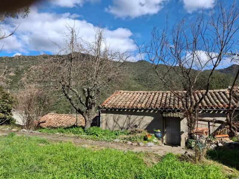 Maison de village - 100 m² - 5 pièces