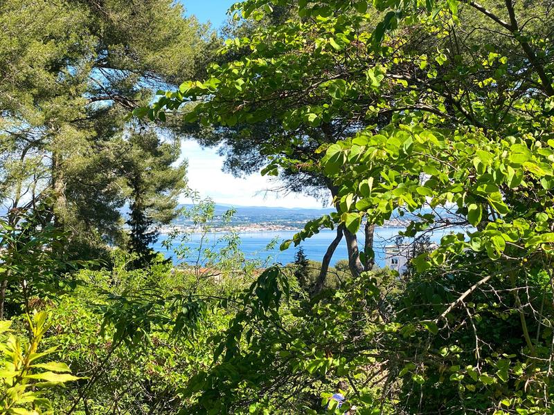 Terrain constructible - 1 468 m²