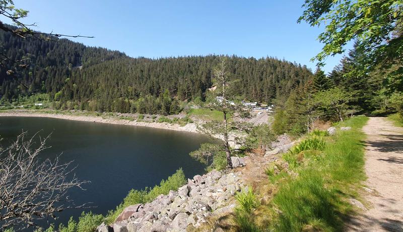 Club Vosgien : Entre lacs et panoramas