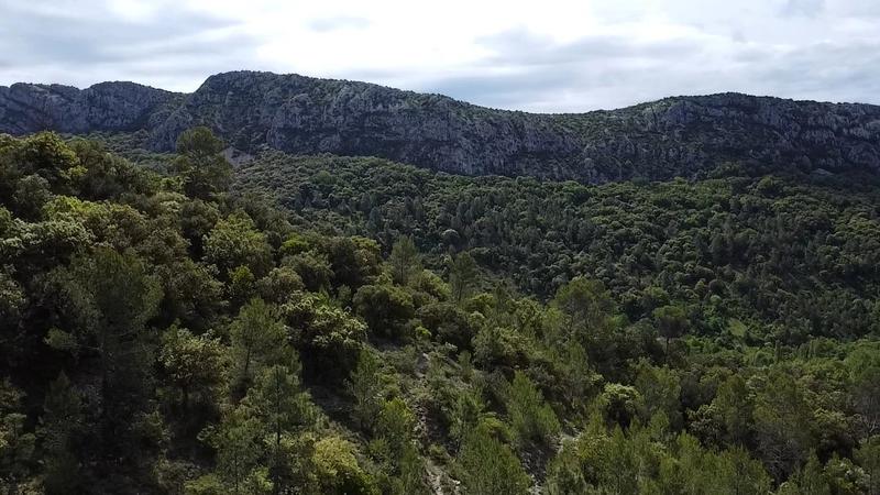 Châlet - 50 m² - 3 pièces