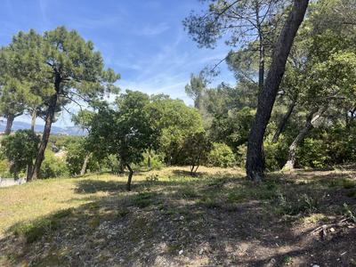Terrain de loisirs - 8 590 m²