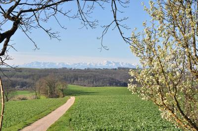 Maison - 394 m² - 10 pièces
