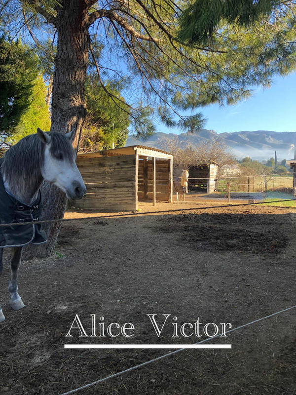 Maison - 355 m² - 12 pièces