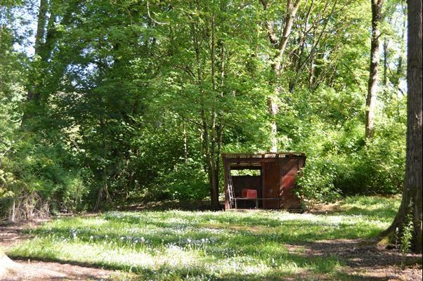 Terrain de loisirs - 25 000 m²