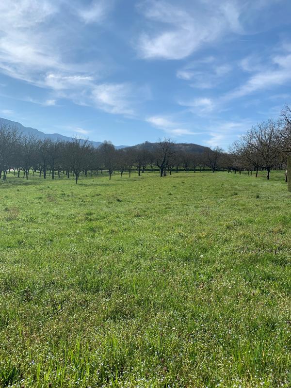 Terrain constructible - 544 m²