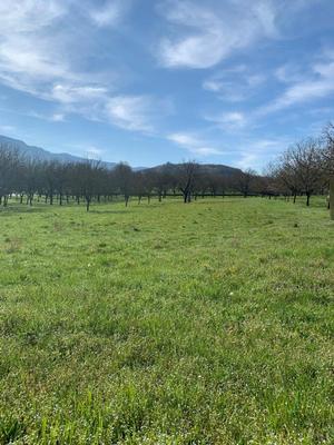 Terrain constructible - 544 m²