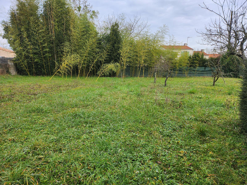 Terrain - 290 m²