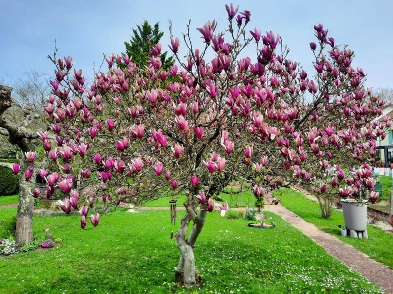 Maison - 121 m² - 4 pièces