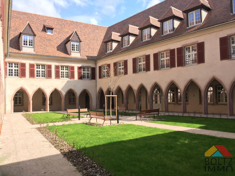 Appartement - 49 m² - 1 pièce