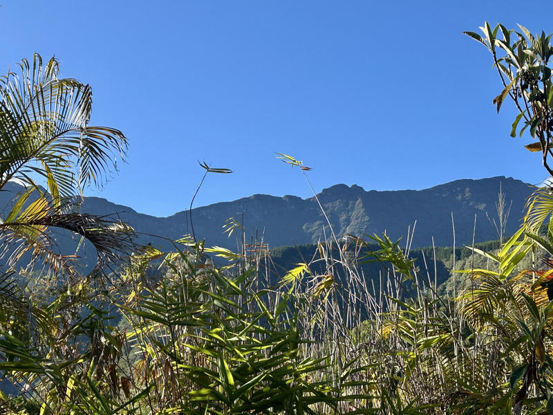 Local commercial - 231 m²