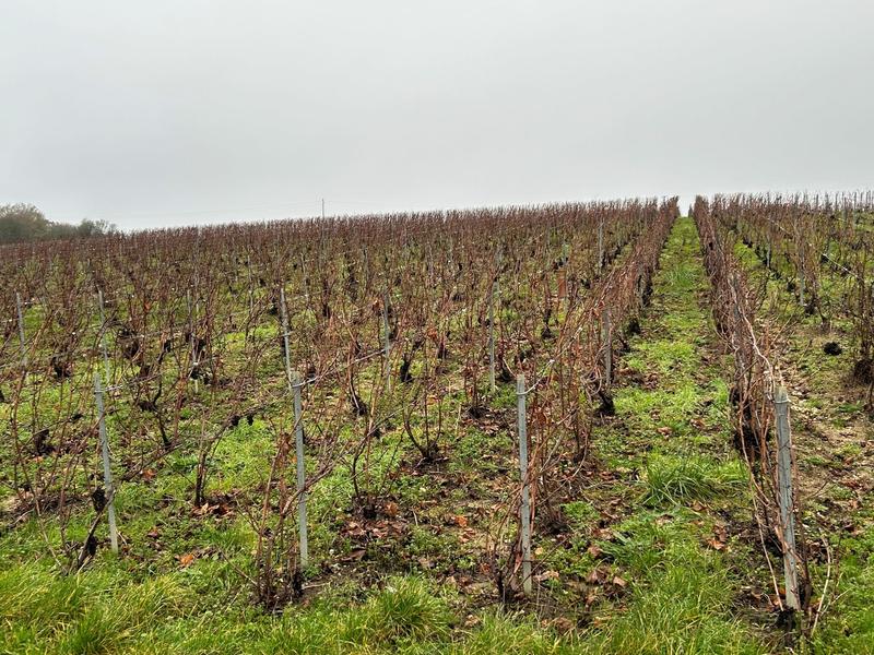 Terrain agricole - 1 113 m²