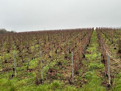 Terrain agricole - 1 113 m²