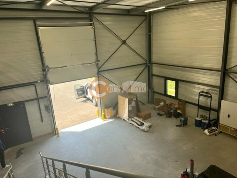 Local d'activité / Entrepôt - 305 m²
