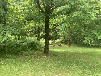 Propriété - 130 m² - 7 pièces