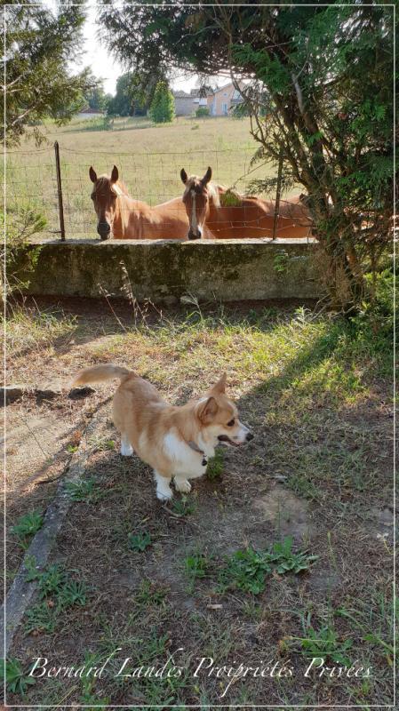 Appartement - 119 m² - 7 pièces