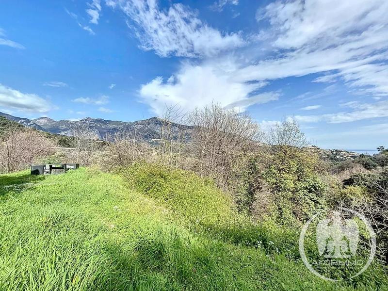 Villa - 300 m² - 8 pièces