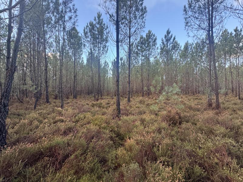 Terrain - 40 400 m²