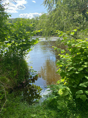 Appartement - 77 m² - 3 pièces