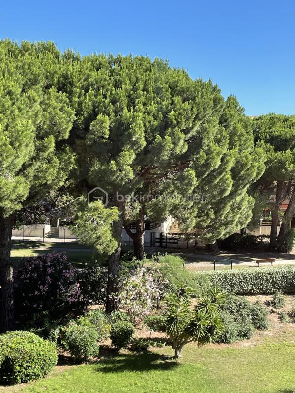 Studio - 23 m² - 1 pièce