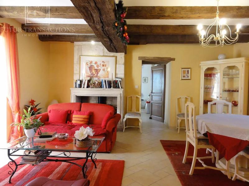 Propriété - 300 m² - 10 pièces