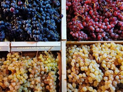 La Petite Jardinerie