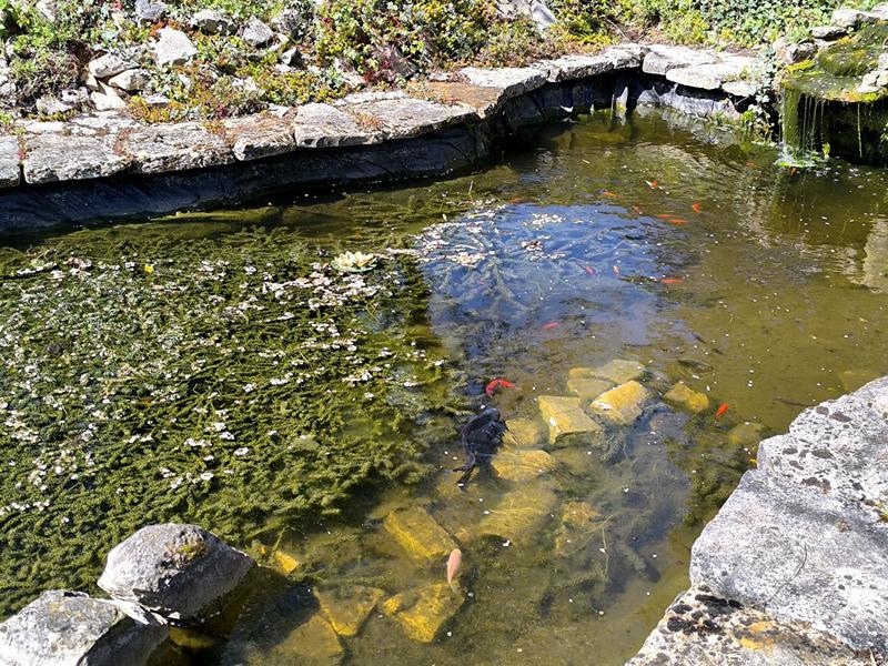 Maison - 264 m² - 8 pièces