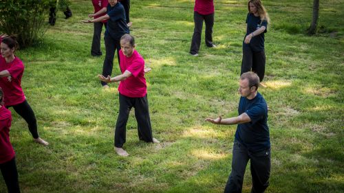 Shiatsu - Qi Gong - Xavier Porter-Ladousse
