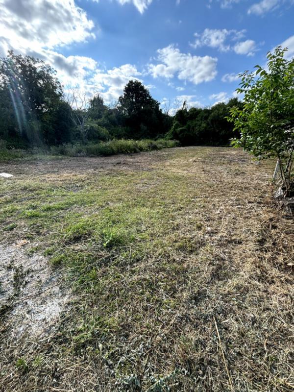 Terrain constructible - 1 013 m²