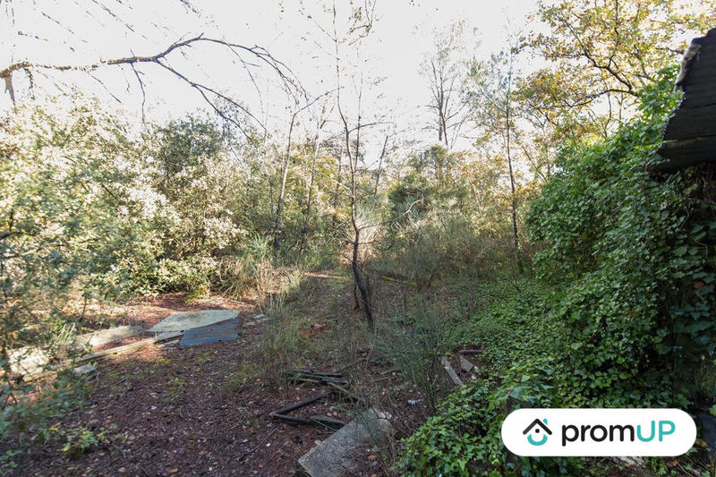 Terrain agricole - 9 625 m²