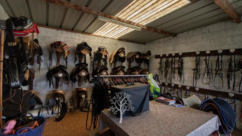 Maison de domaine équestre - 90 m² - 5 pièces