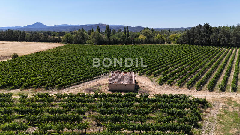 Terrain agricole - 30 000 m²