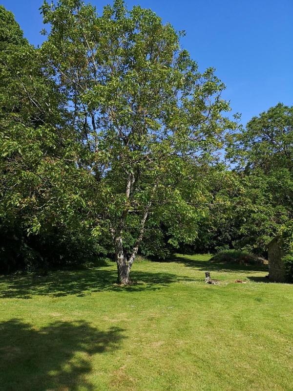 Maison - 222 m² - 5 pièces