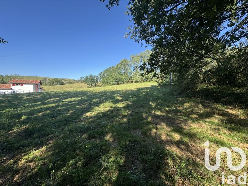 Terrain - 1 571 m²
