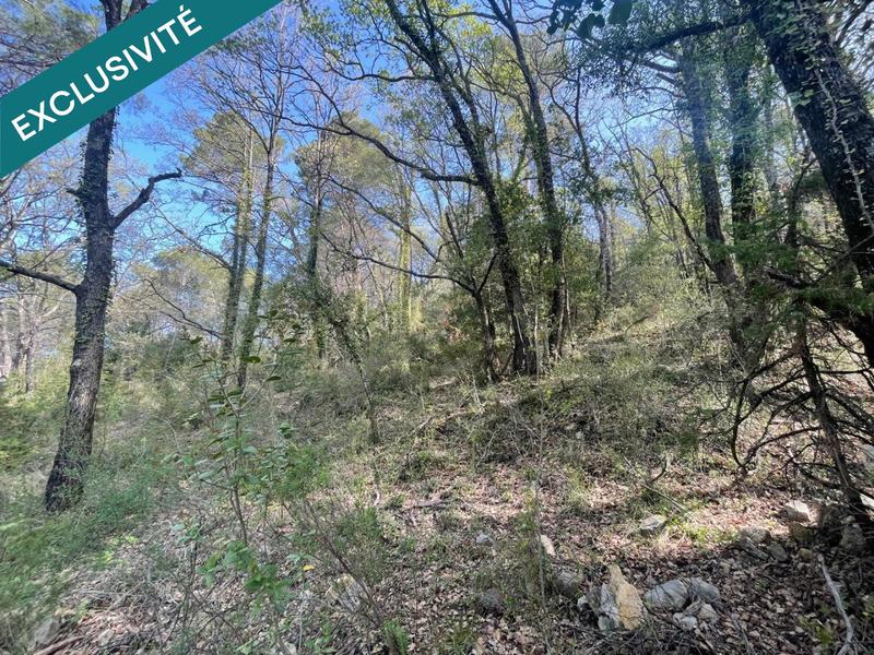 Terrain agricole - 14 290 m²