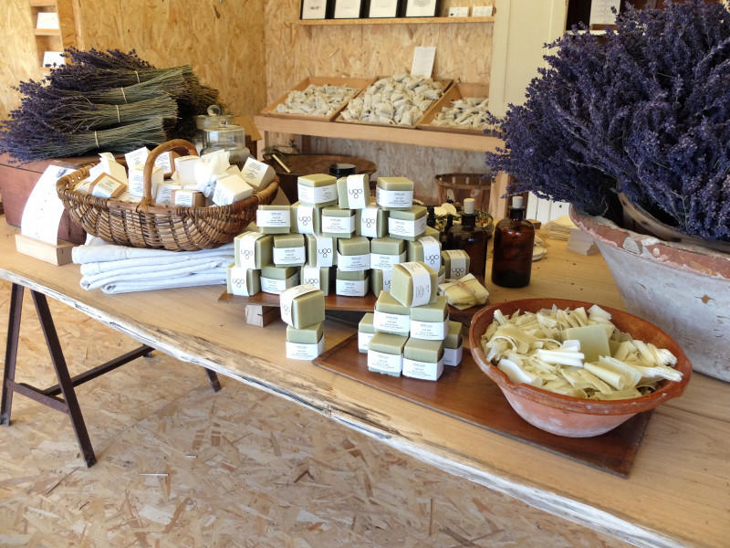 Visite des champs de lavande à Terre Ugo