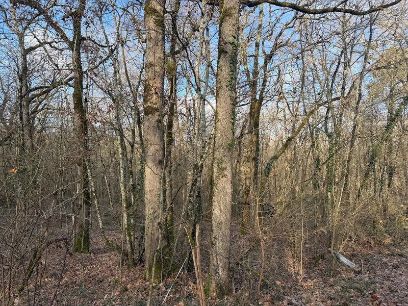 Terrain agricole - 5 633 m²